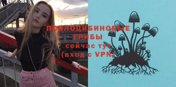 МДМА Новозыбков
