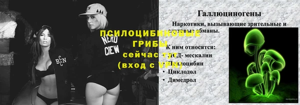 бошки Аркадак