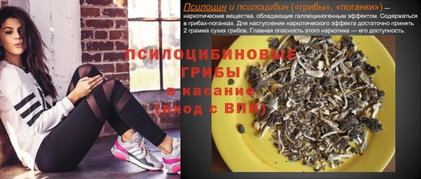 гидропоника Кукмор