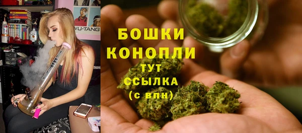 МДМА Новозыбков